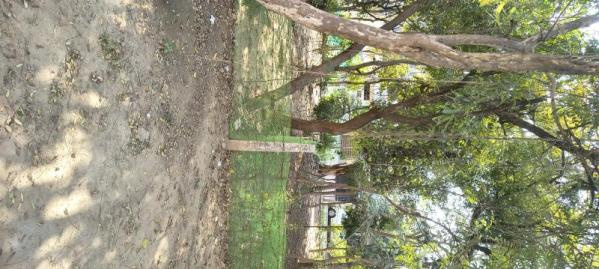Available For Sale Plot Sector 18 Yamuna