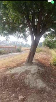 Property for sale in Banthara, Lucknow