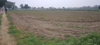 Property for sale in Sikri, Faridabad