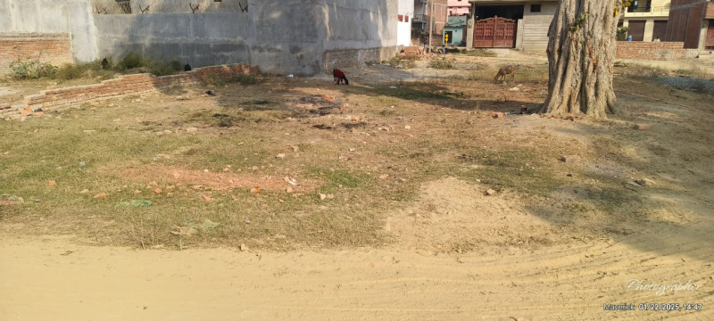 3 BHK Individual Houses For Sale In Soyepur, Varanasi (2030 Sq.ft.)