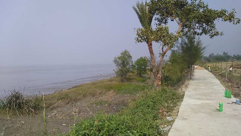 24 Bigha River Facing Land For Sale at Diamond Harbour, South 24 Parganas, West Bengal