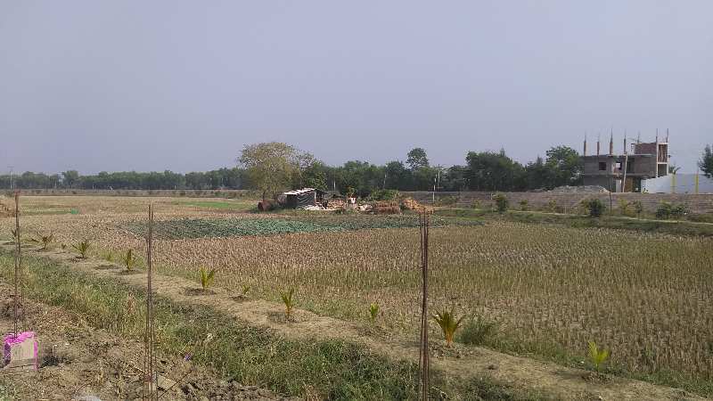 24 Bigha River Facing Land For Sale at Diamond Harbour, South 24 Parganas, West Bengal