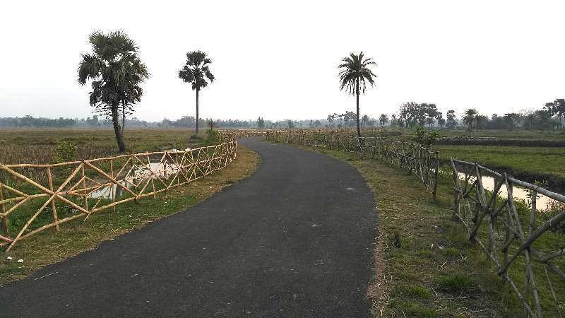 7 bigha farmland for sale at Sahararhat, near Falta SEZ LJD College, South 24 Parganas