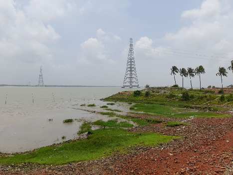 7 Bigha Ganga Facing  Land For Sale at Raichak, Near Ambuja Ganga Kutir, Diamond Harbour, South 24 Parganas, West Bengal