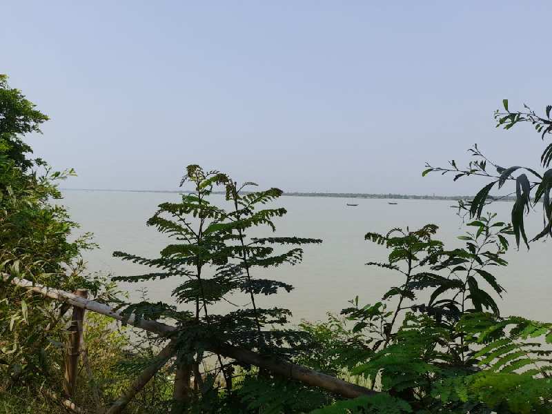 12 Decimal Ganga Facing Land For Sale at Falta, Near Aqua Retreat Hotel & Resort