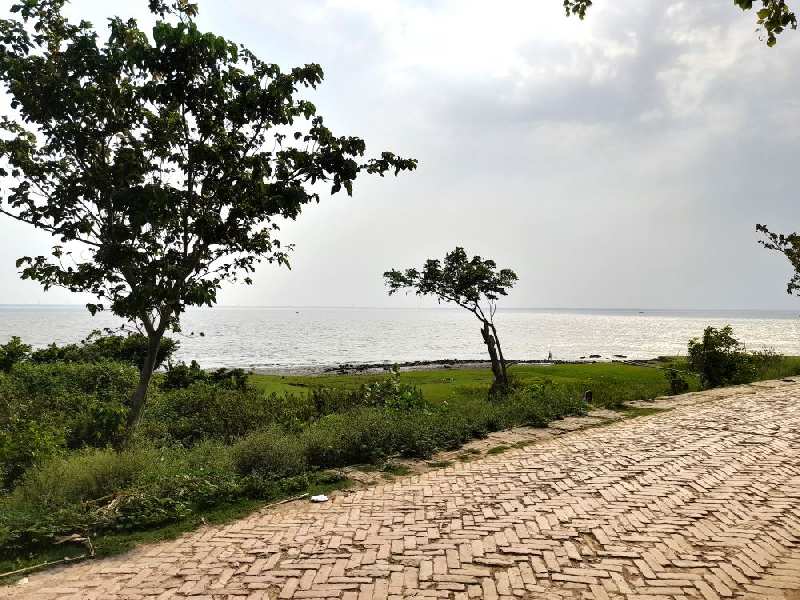27 Katha Ganga Facing Land For Sale at Diamond Harbour, Near Punyalaxmi Hotel & Resort