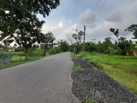 25 Katha Farmland For Sale at Raichak, Near Ambuja Ganga Kutir, South 24 Parganas, West Bengal