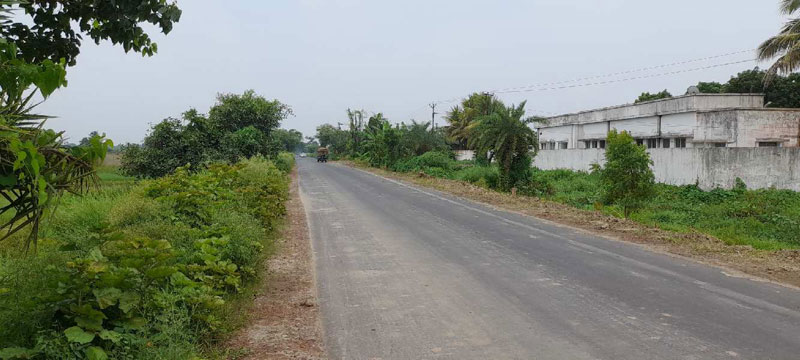 10.5 Bigha land For Sale at Rekha, Diamond Harbour, on Raichak Road