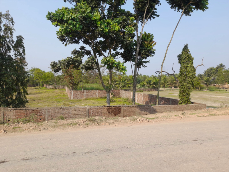 7 Bigha Ganga Facing Land For Sale Near Ambuja Ganga Kutir Raichak, Diamond Harbour, South 24 Parganas, West Bengal