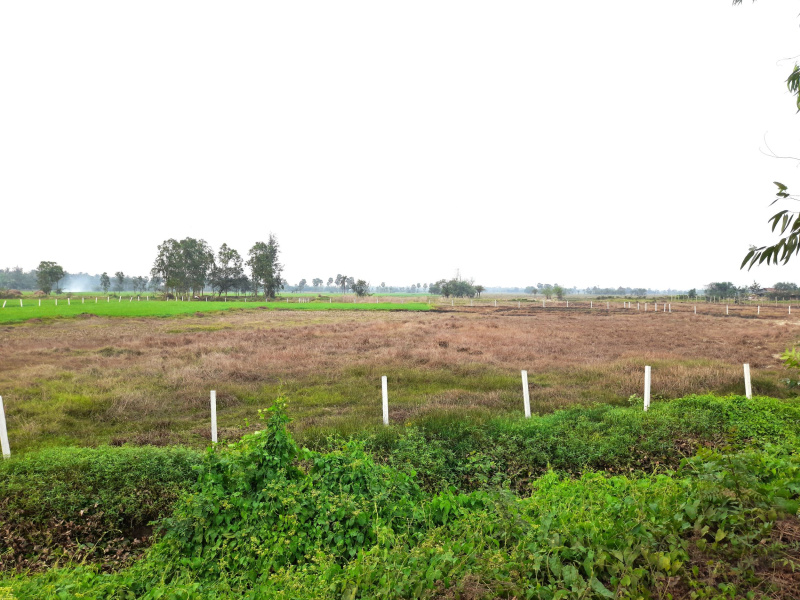 3 Bigha Agricultural/Farm Land for Sale in Diamond Harbour, South 24 Parganas