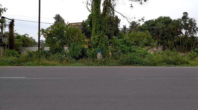 5 Bigha Land For Sale on D.H. Road (NH-117), Banganagar, Near Rasoi Limited