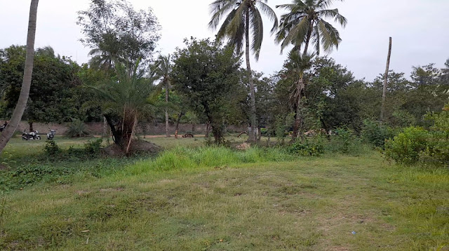 90 Katha Land For Sale on D.H. Road (NH-117), Shirakol, Near Merlin IBIZA Resort