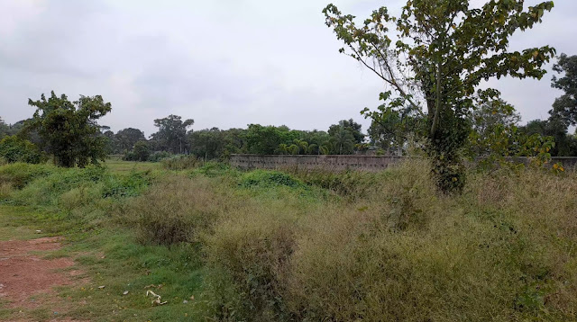 4.5 Bigha Land For Sale on D.H. Road (NH-117), Banganagar, Near Rasoi Limited