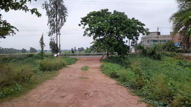 4.5 Bigha Land For Sale on D.H. Road (NH-117), Banganagar, Near Rasoi Limited