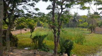 Ganga Facing Land For Sale Near Falta SEZ, Diamond Harbour, South 24 Parganas