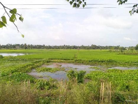 10 Bigha Farmland For Sale at Diamond Harbour, West Bengal