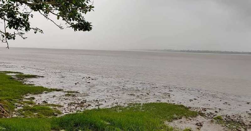 12 Bigha Ganga Facing Land For Sale at Diamond Harbour, West Bengal