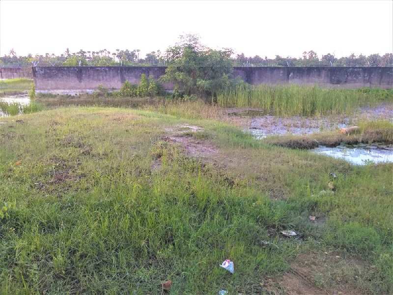 17.56 Katha Land Parcel For Sale on Raichak Road, Mathur, West Bengal