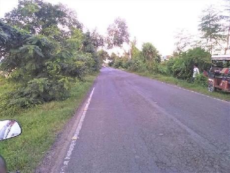 11 Bigha Land For Sale Near Ganga Kutir Raichak