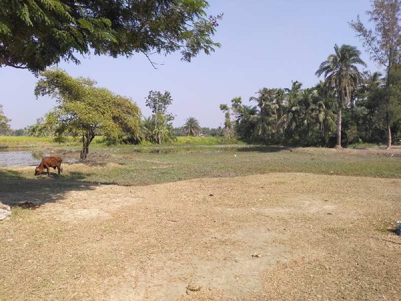 Farmland For Sale at Raichak, Near Ganga Kutir