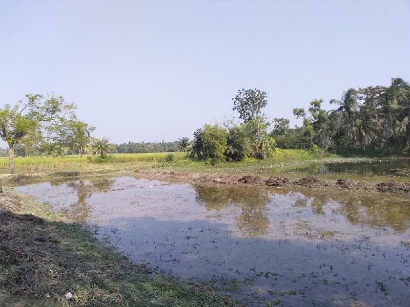 Farmland For Sale at Raichak, Near Ganga Kutir