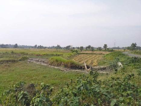 10 Bigha Farmland For Sale at Sarisha, Diamond Harbour, West Bengal