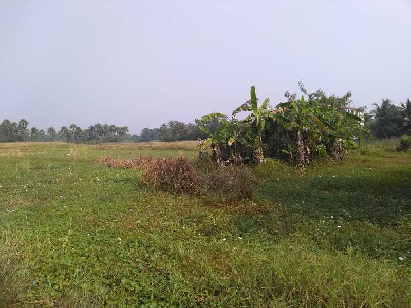 65 Bigha Land For Sale Near Falta SEZ, South 24 Parganas