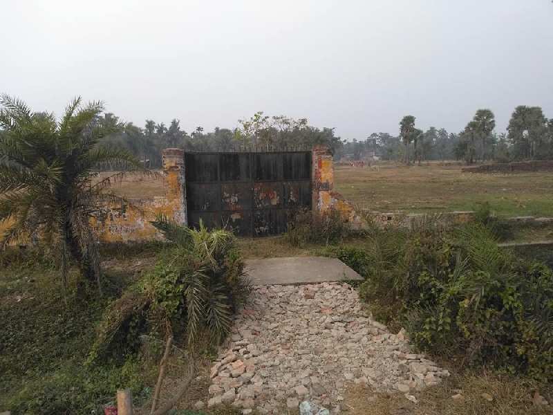 9.5 Bigha Land For Sale at Raichak, Near Ganga Kutir
