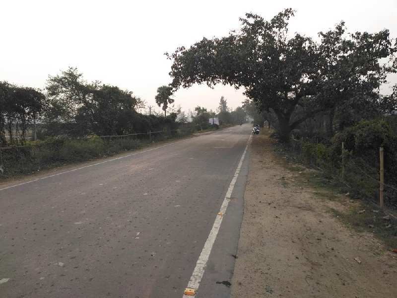 9.5 Bigha Land For Sale at Raichak, Near Ganga Kutir