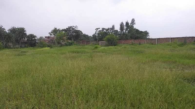 6 Bigha Land For Sale at Sarisha, Off Falta SEZ Road, South 24 Parganas
