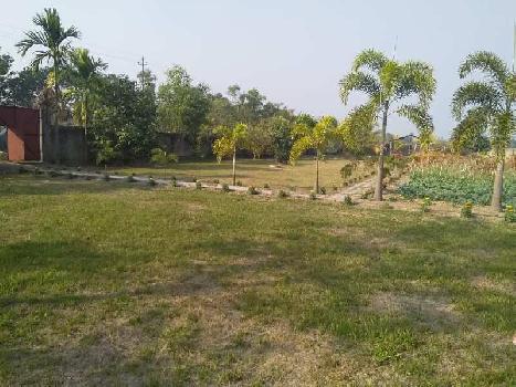 1 Bigha Picnic garden For Sale at Raichak, Diamond Harbour, South 24 Parganas