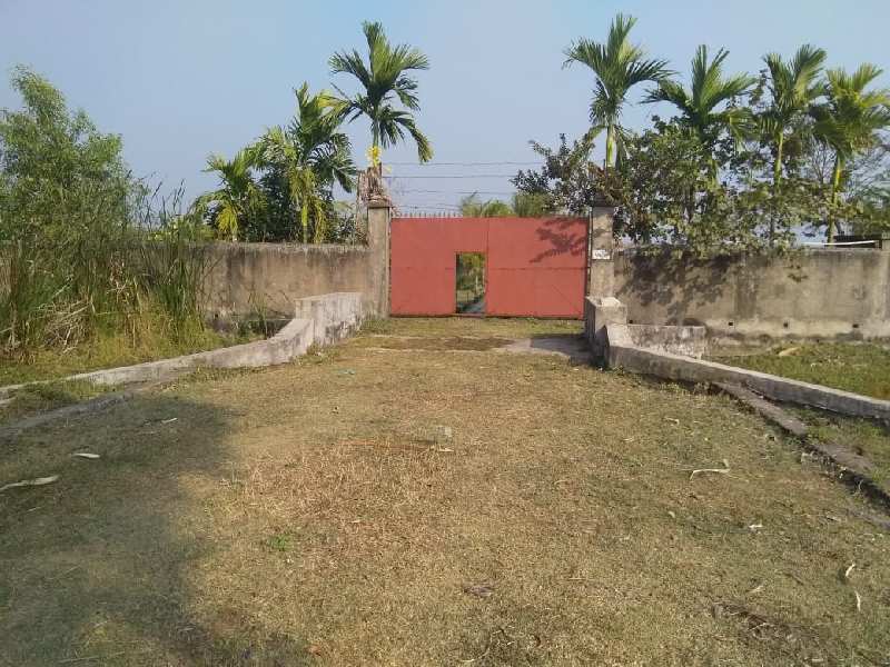 2 Bigha Garden/Farm Land For Sale at Raichak, Diamond Harbour, South 24 Parganas
