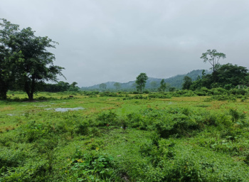 4 Acre Agricultural/Farm Land for Sale in Malbazar, Jalpaiguri