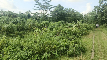 Property for sale in Malbazar, Jalpaiguri