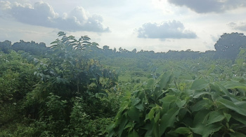 Property for sale in Banarhat Tea Garden, Jalpaiguri