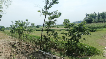 Property for sale in Lataguri, Jalpaiguri