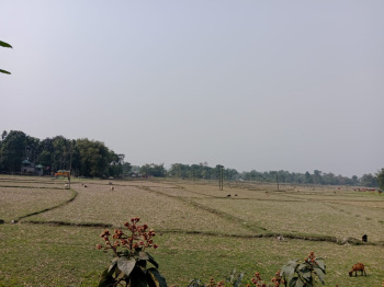 Property for sale in Lataguri, Jalpaiguri