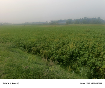 Agricultural/Farm Land for Sale in Malbazar, Jalpaiguri (82 Bigha)