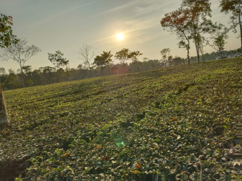 Property for sale in Mainaguri, Jalpaiguri