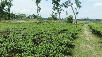 Property for sale in Matelli, Jalpaiguri