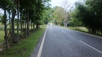 Residential Plot for Sale in Lataguri, Jalpaiguri (240 Katha)