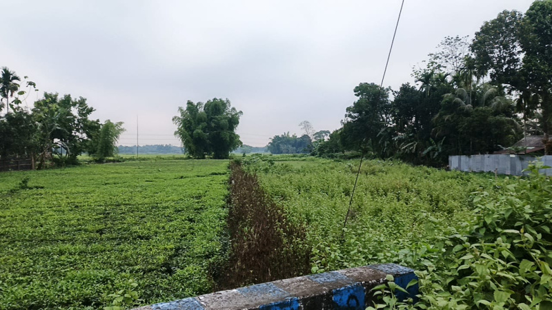 Residential Plot for Sale in Fatapukur, Jalpaiguri (400 Bigha)