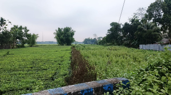 Property for sale in Fatapukur, Jalpaiguri