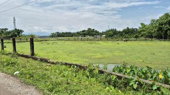 Commercial Lands /Inst. Land for Sale in Murti, Jalpaiguri (5 Bigha)