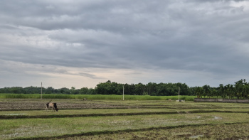 Property for sale in Murti, Jalpaiguri