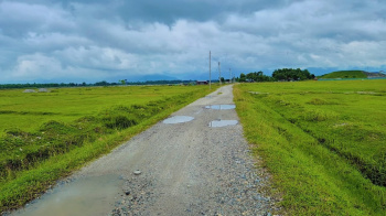 30 Bigha Residential Plot for Sale in Gairkata, Jalpaiguri