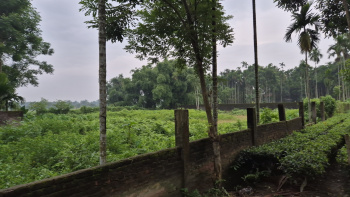 Property for sale in Malbazar, Jalpaiguri