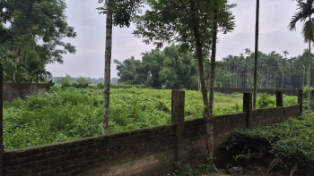 Property for sale in Malbazar, Jalpaiguri