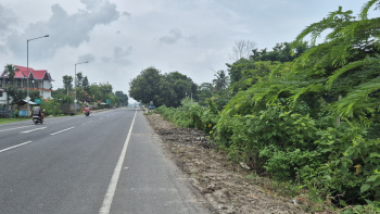 Residential Plot for Sale in Matelli, Jalpaiguri (34 Katha)