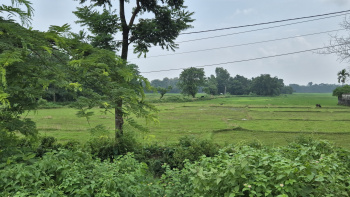 Property for sale in Matelli, Jalpaiguri